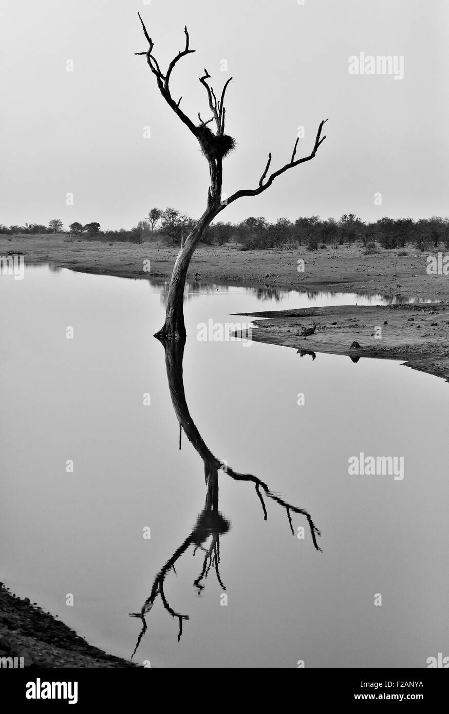 Africa river landscape Black and White Stock Photos & Images - Alamy