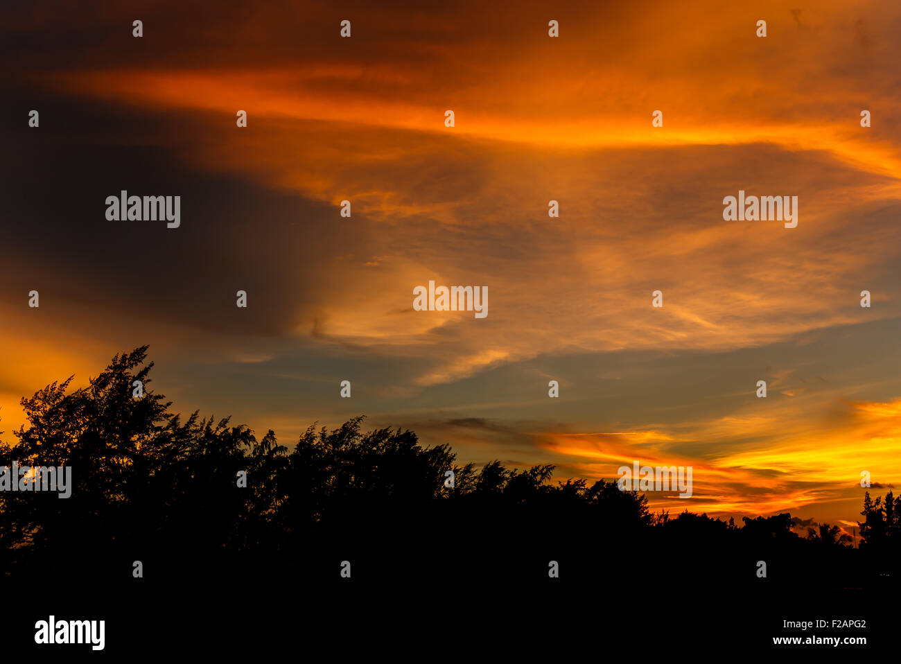 atmosphere at sunrise on the beach Stock Photo