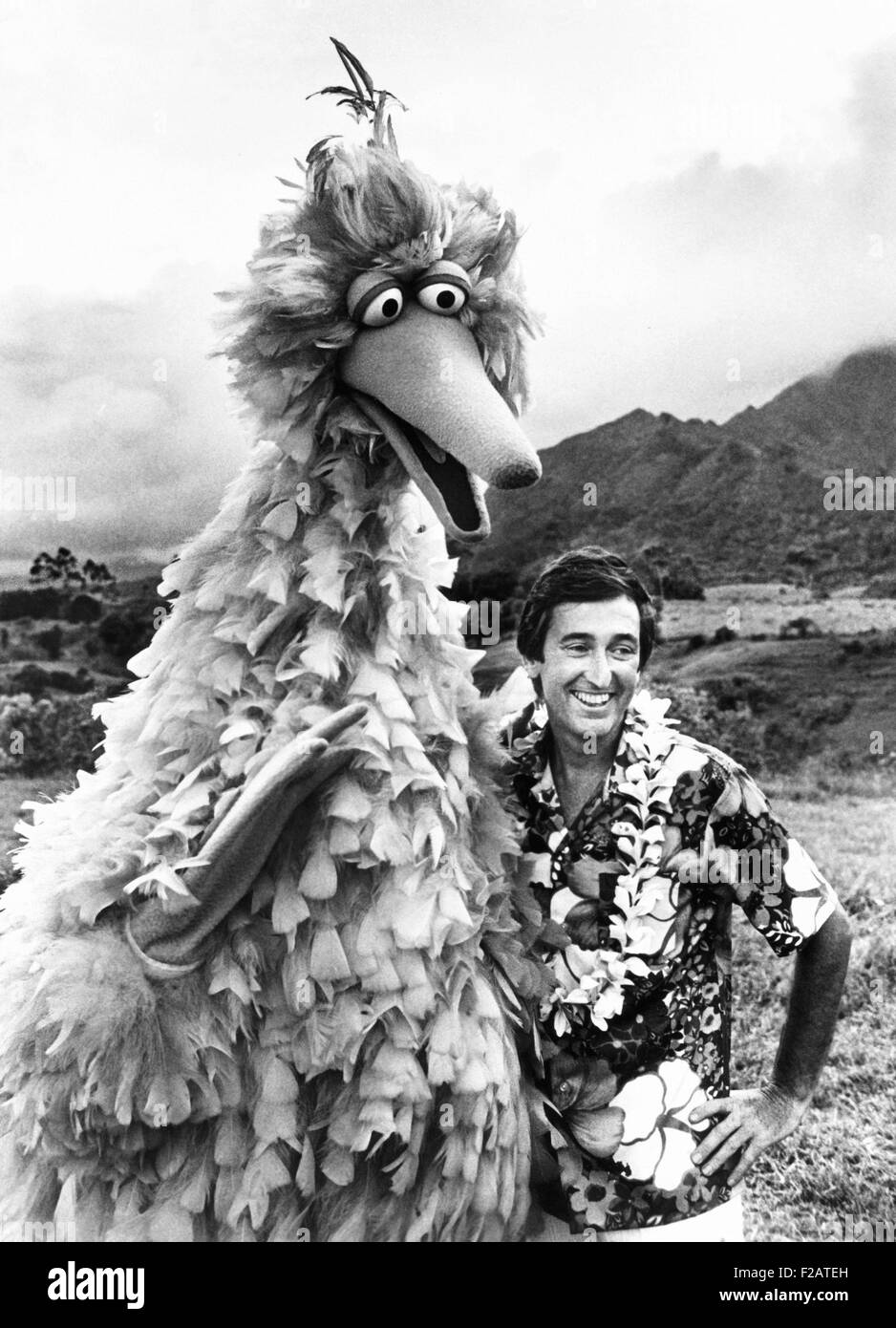Big Bird (Carroll Spinney) and Bob McGrath of SESEME STREET on the Hawaiian Island of Kauai. They were taping a special location-based episode for the 1977-78 season. (CSU 2015 11 1679) Stock Photo