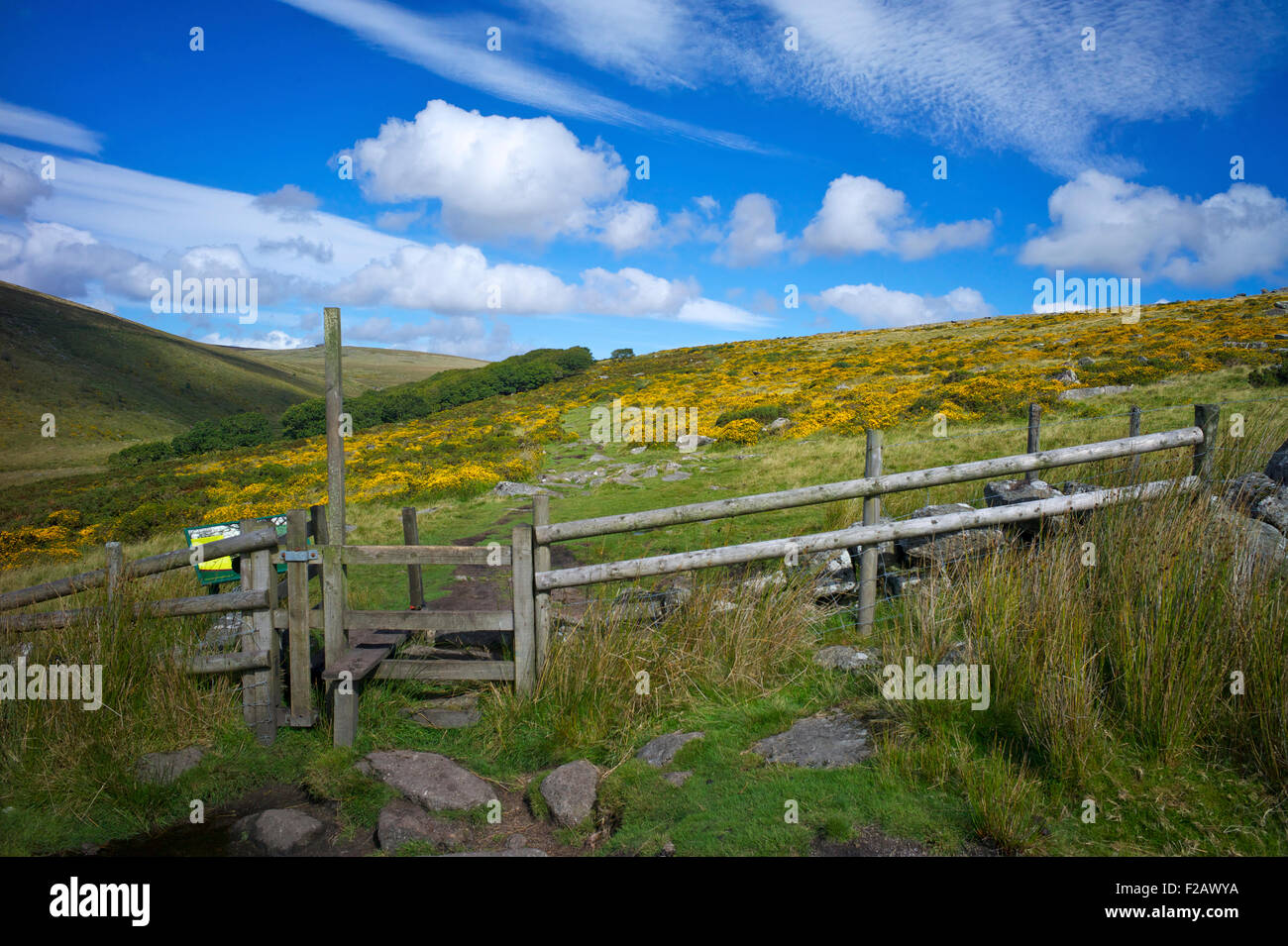 Footpath and stile, Dartmoor, Devon, UK Stock Photo