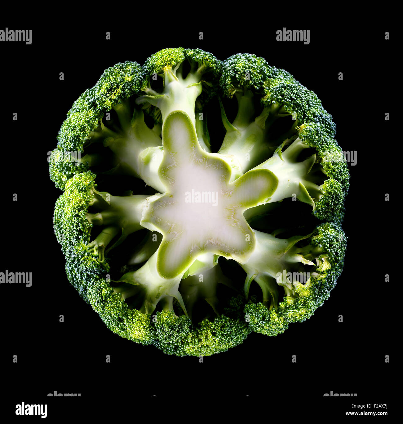 Whole Broccoli with stem from below isolated on black Stock Photo - Alamy