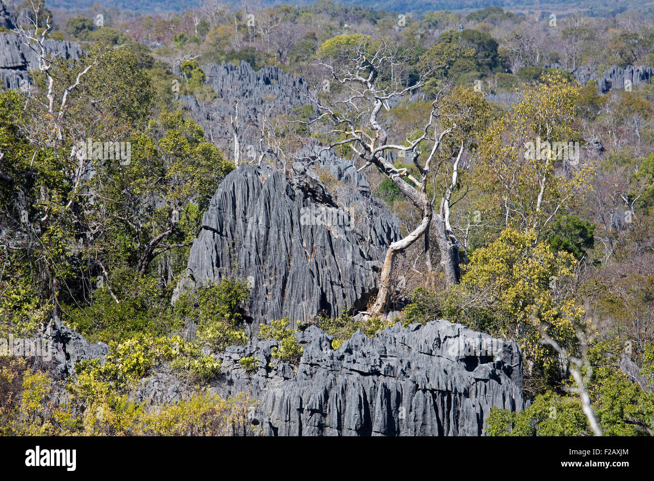 Karst limestone rocks hires stock photography and images Alamy