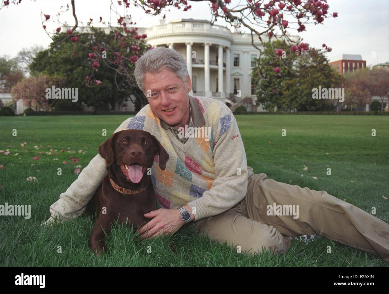 President Bill Clinton with his a male chocolate-colored Labrador Retriever, Buddy. Clinton acquired Buddy as a 3-month-old puppy in Dec. 1997, when his inappropriate relationship with a White House intern had created a major scandal. (BSLOC 2015 2 204) Stock Photo