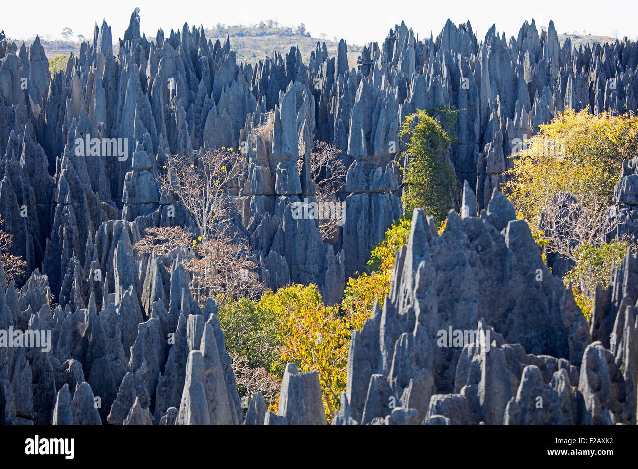 Karst limestone rocks hires stock photography and images Alamy