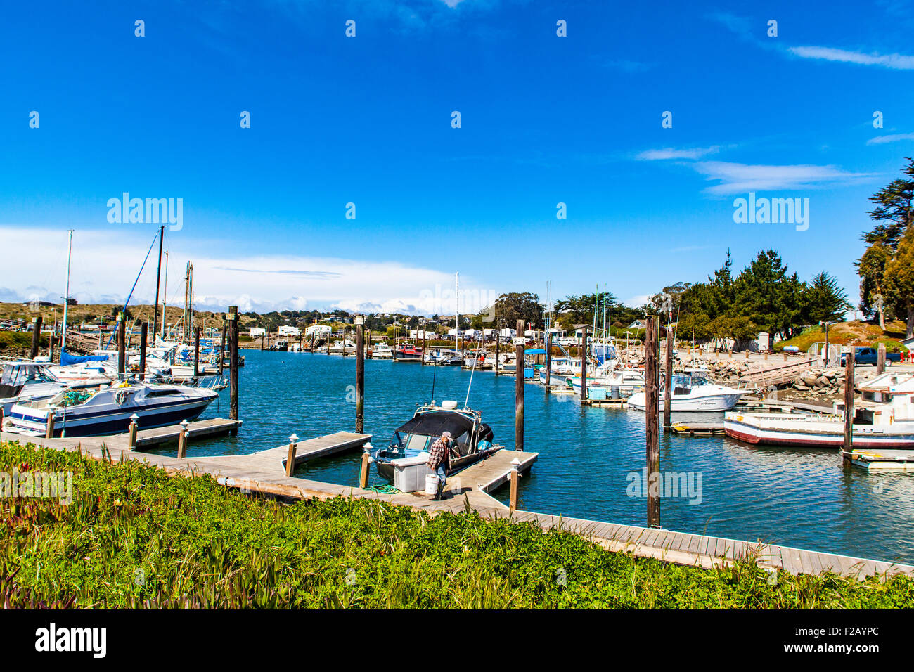 Bodega Bay Harbor one of the many sights to see along Northern