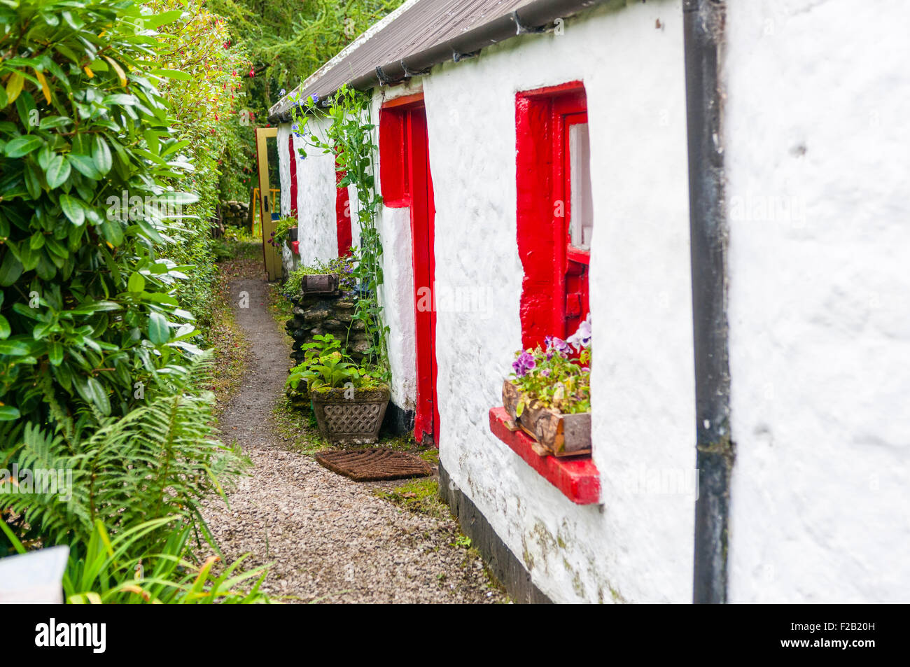 A traditional whitewashed Irish cottage with a narrow path at the front. Stock Photo