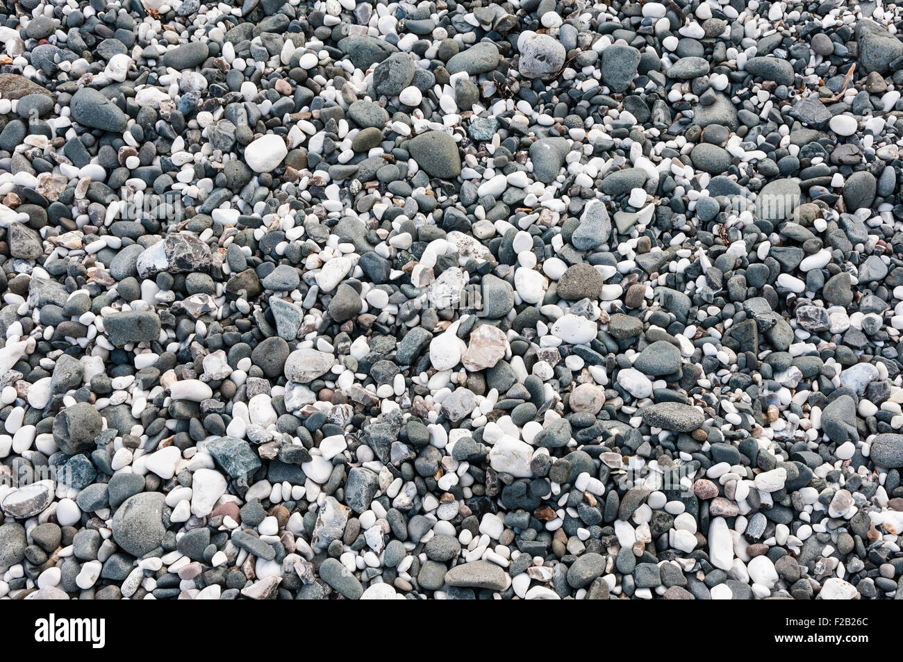 Pebbles of various sizes on a beach. Stock Photo