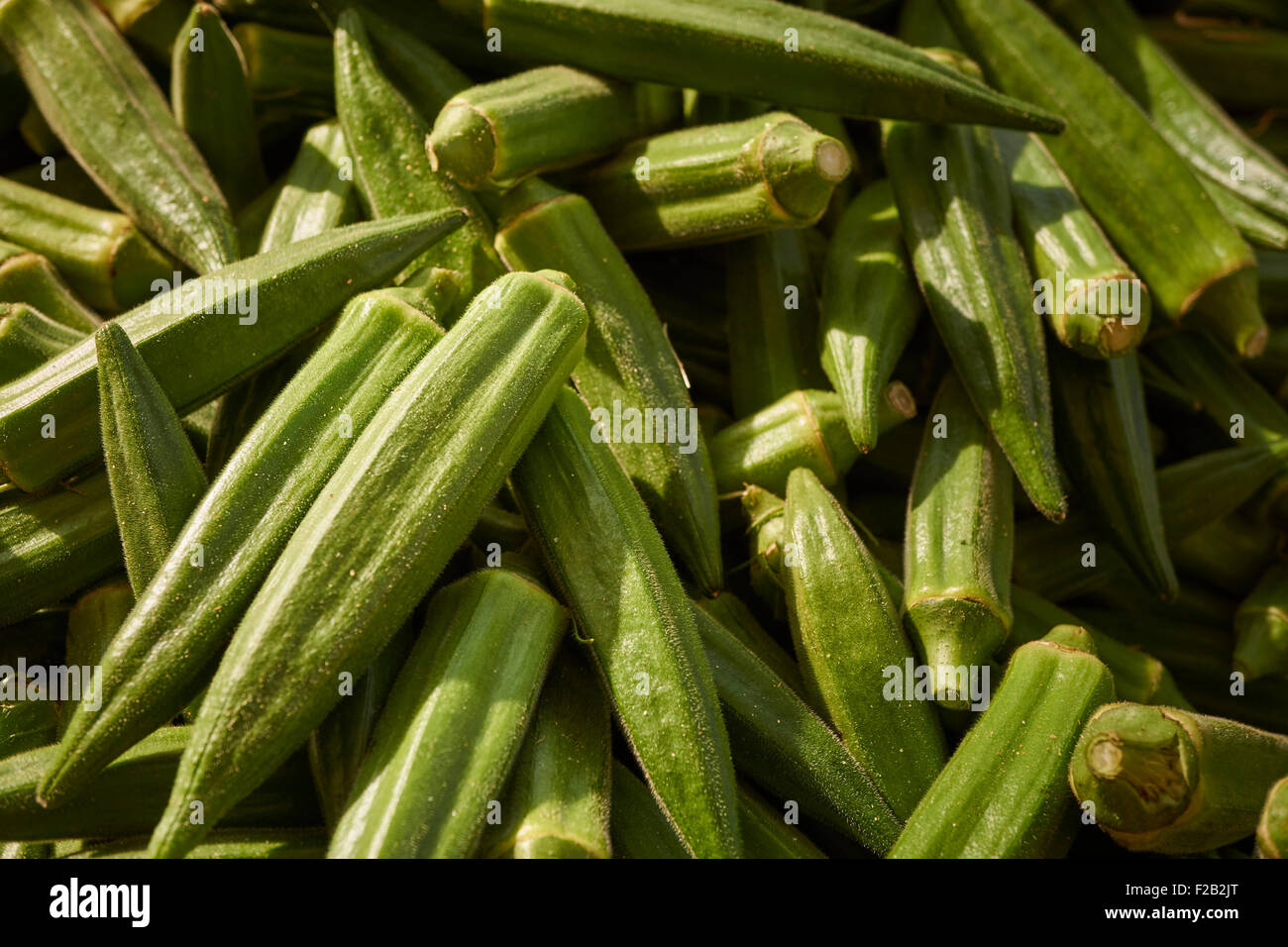 whole okra at the Union Square Greenmarket, Manhattan, New York City