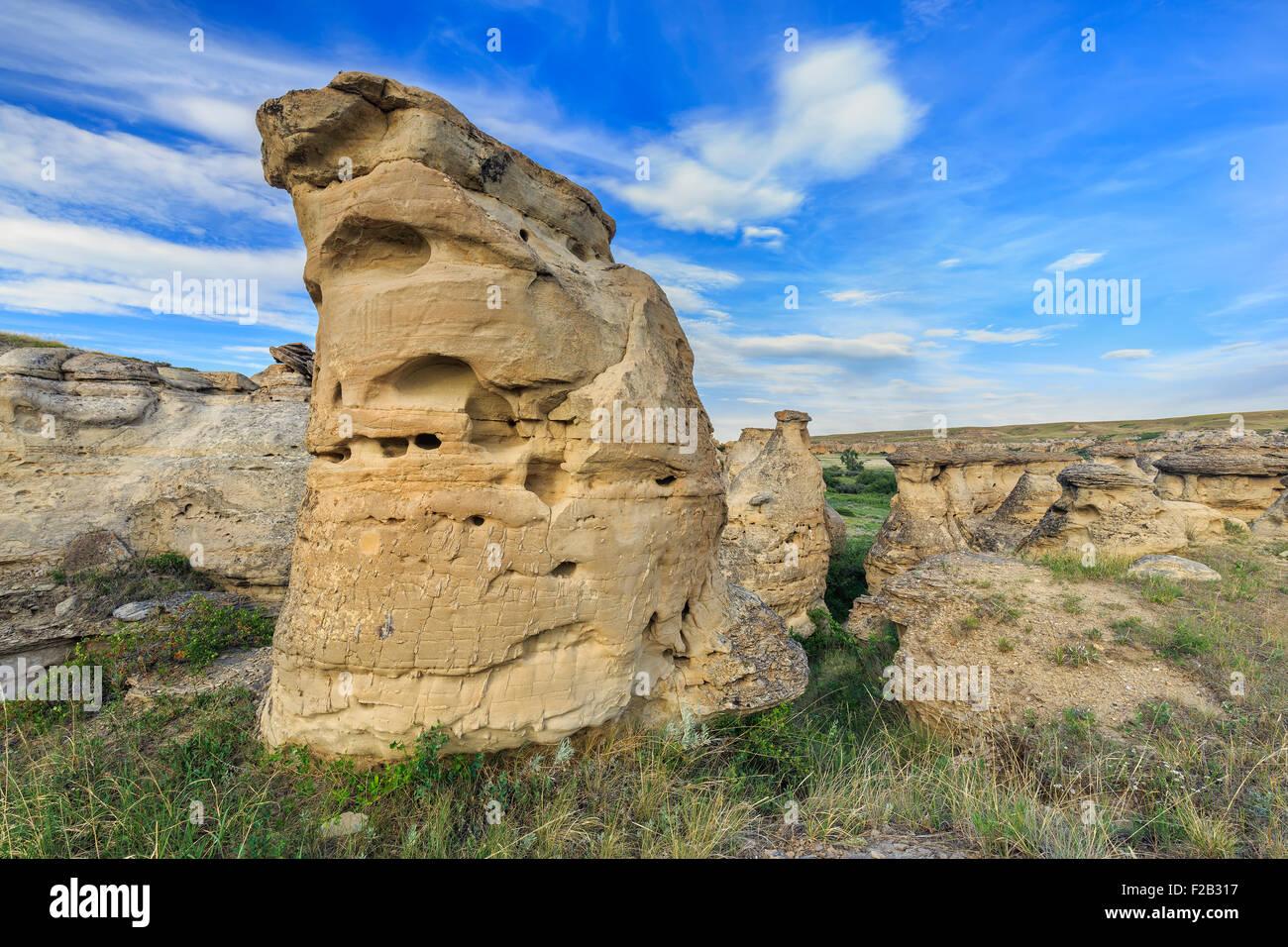 Hoodoos in the Badlands of the Milk River Valley, Writing-on-Stone Provincial Park, Alberta, Canada. Stock Photo