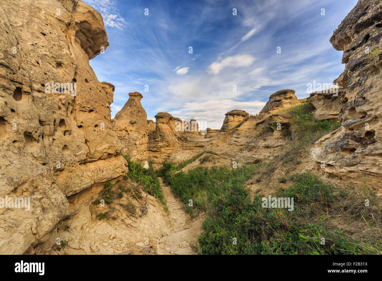 Hoodoos in the Badlands of the Milk River Valley, Writing-on-Stone Provincial Park, Alberta, Canada. Stock Photo