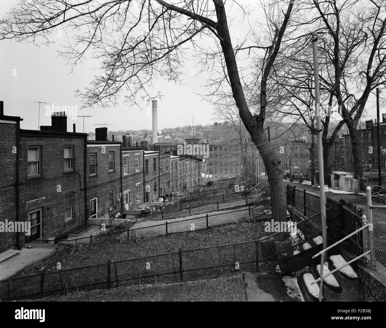 Yonkers, New York, ca. 1980. Moquette Row Housing, are 18th century industrial housing with generous backyards. View east showing south rear elevations from Orchard Street. Westchester County, NY. (BSLOC 2015 11 8) Stock Photo