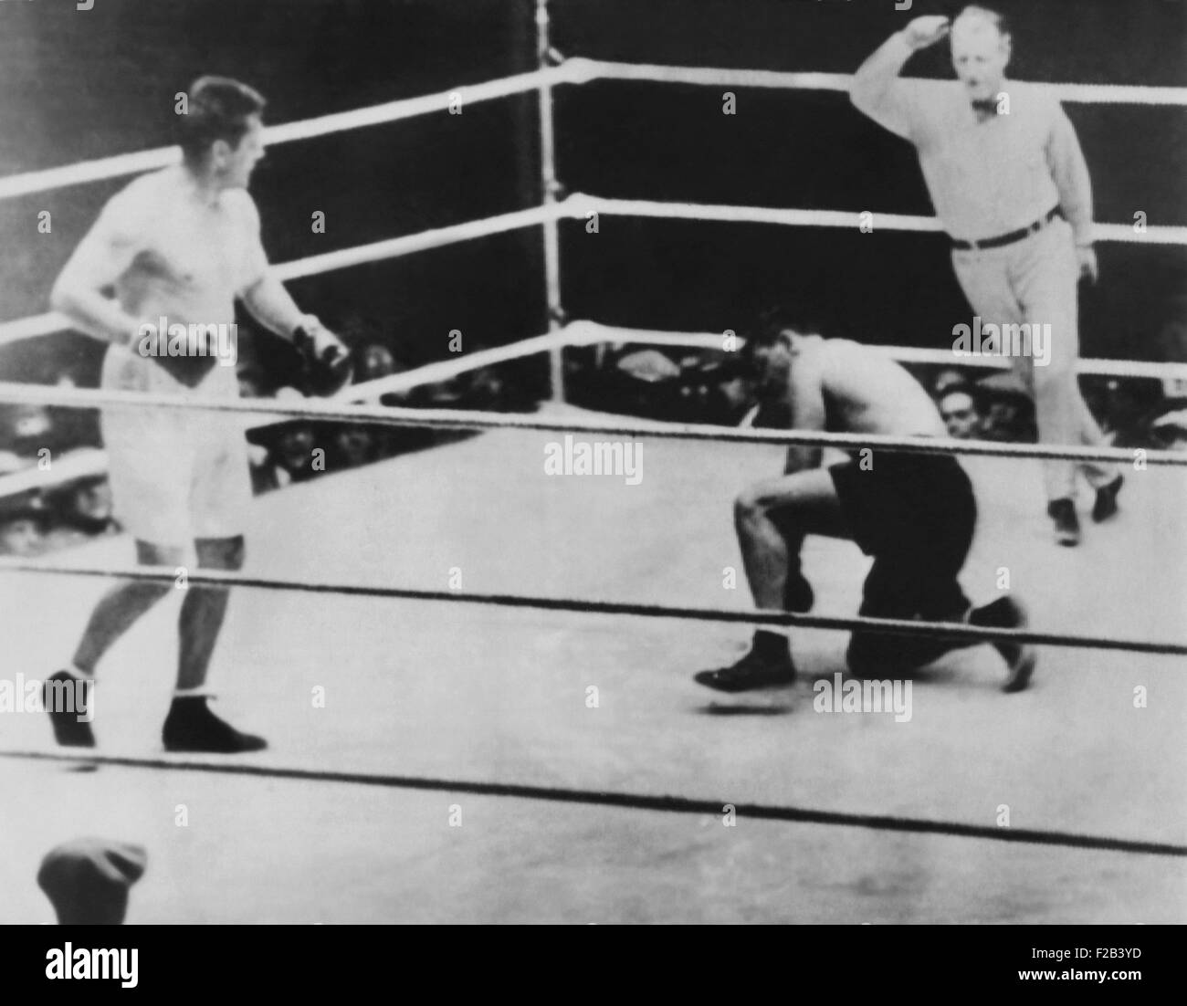 Long Count Fight', the Gene Tunney-Jack Dempsey boxing match of Sept. 22,  1927. Tunney knocked Dempsey down in the 8th round, with Referee Dave Barry  begins the count without waiting for Tunney