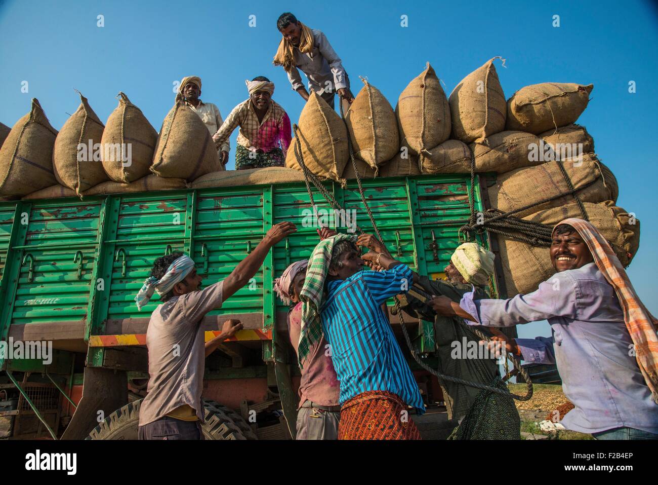 Indian farm workers load sacks of dry chili peppers June 18, 2015 in Gabbur, district Raichur, Karnataka, India. Stock Photo