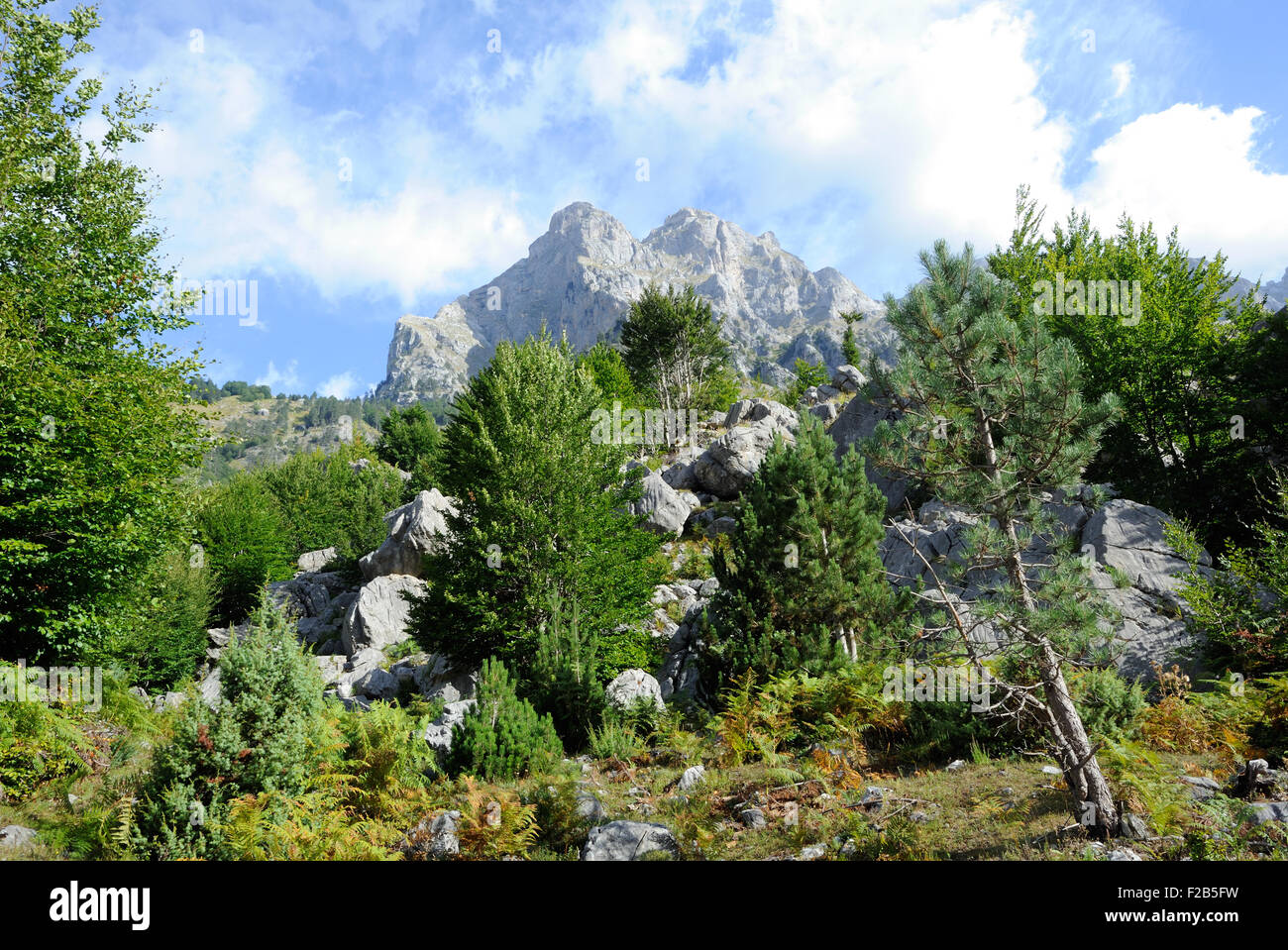 Peaks above the hiking trail  to Quku i Valbones, Rilindja and Valbona Qender .  Valbone, Valbona, Albania. Stock Photo