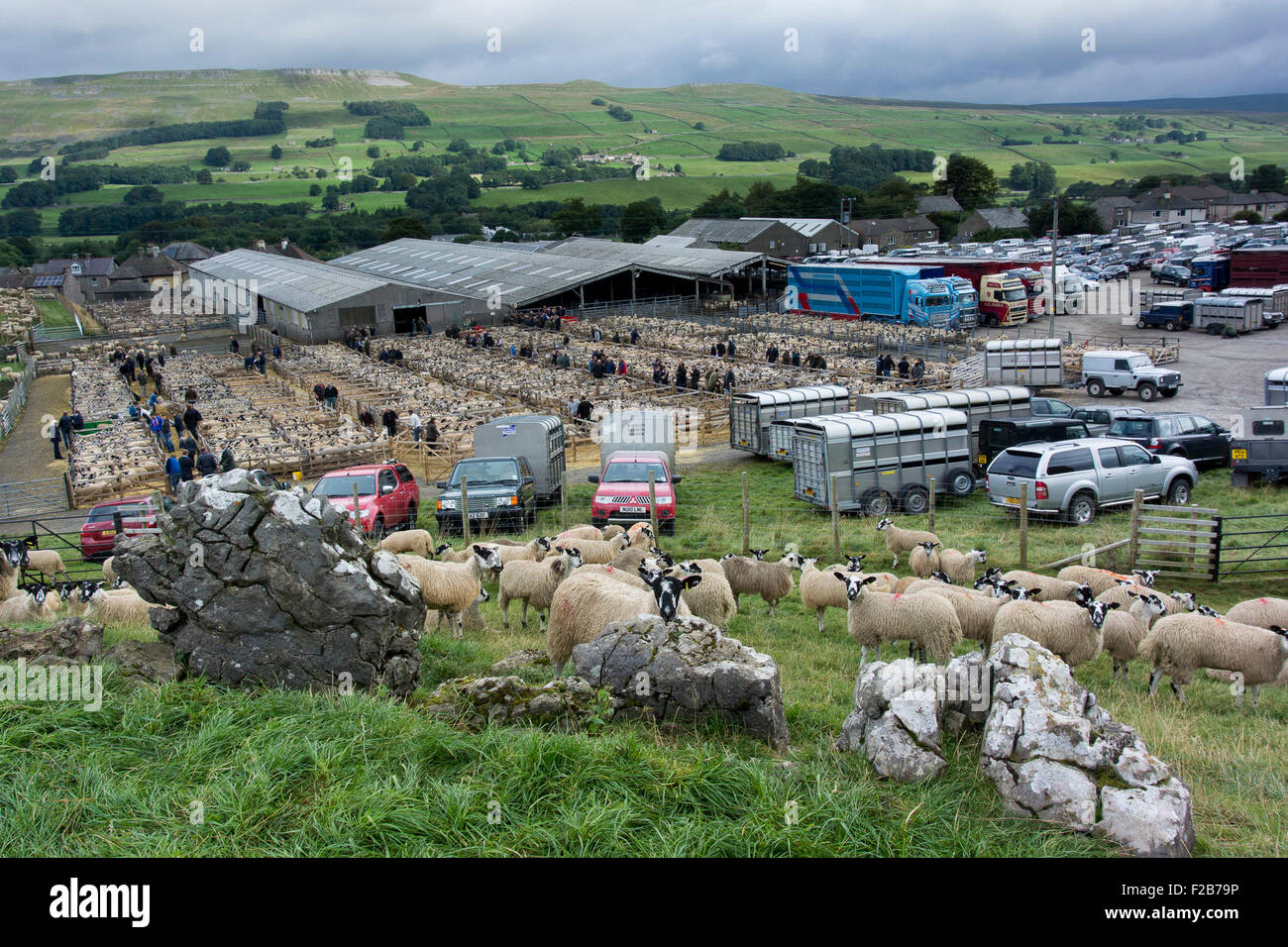 Hawes, North Yorkshire, UK. 14th September, 2015. The harvest of the