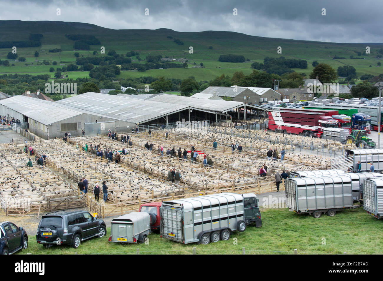 Hawes, North Yorkshire, UK. 14th September, 2015. The harvest of the