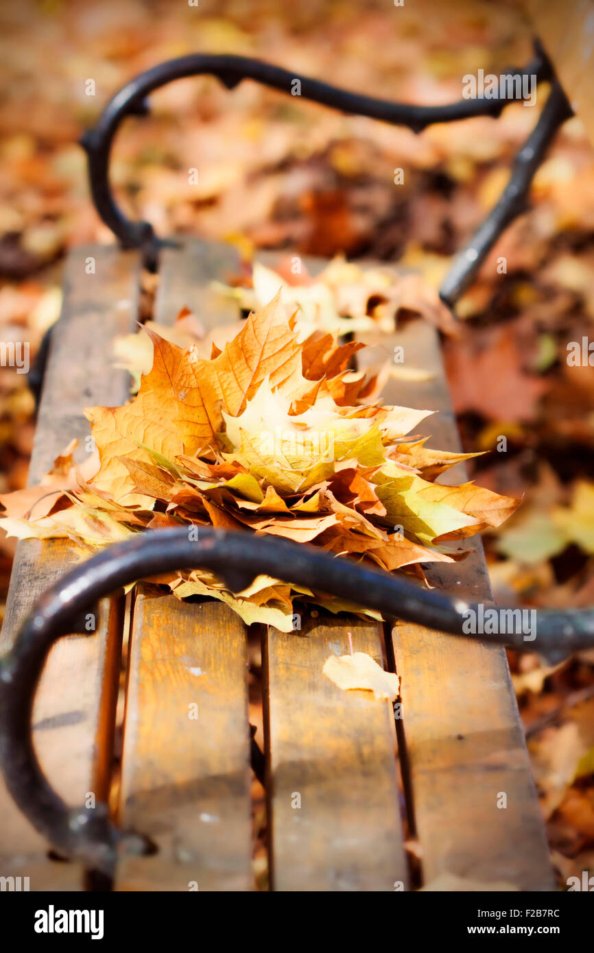 Wooden bench in autumn park - vintage photo Stock Photo - Alamy