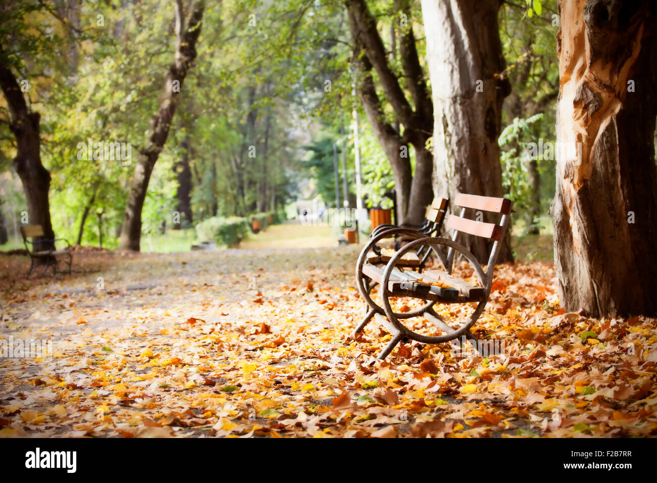 Wooden bench in autumn park - vintage photo Stock Photo - Alamy