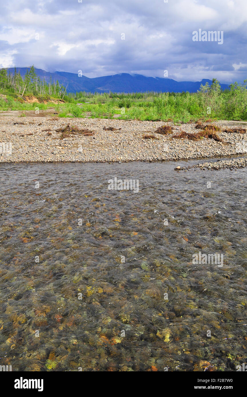 Putorana Plateau, a waterfall on the Grayling Stream. Mountain stream on a  cloudy day Stock Photo - Alamy