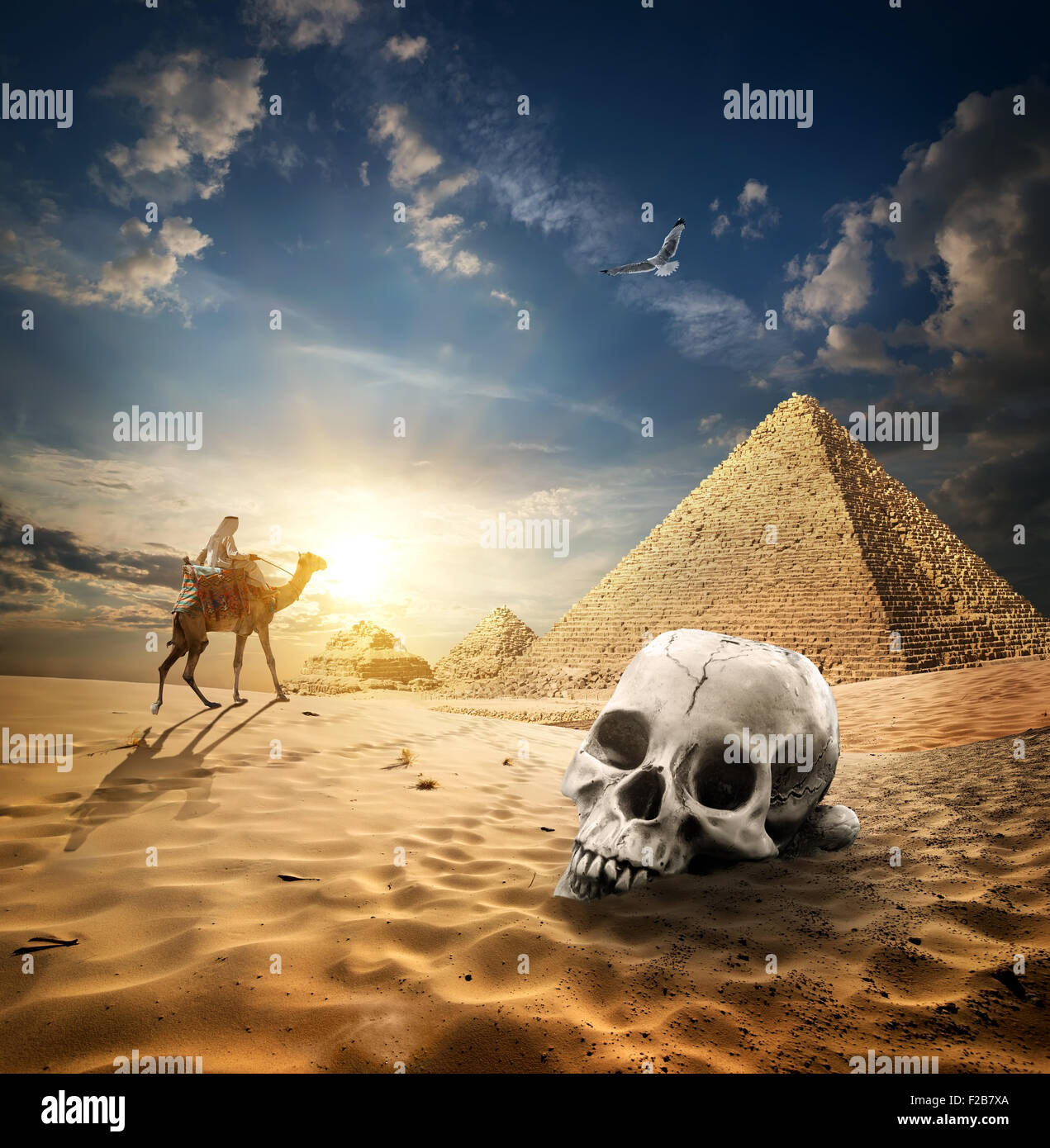 Skull near pyramids in sand desert at sunrise Stock Photo