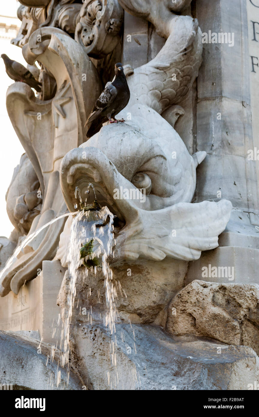 Fountain Rome Fish Italy stone fish fountain water hi-res stock photography and images - Alamy
