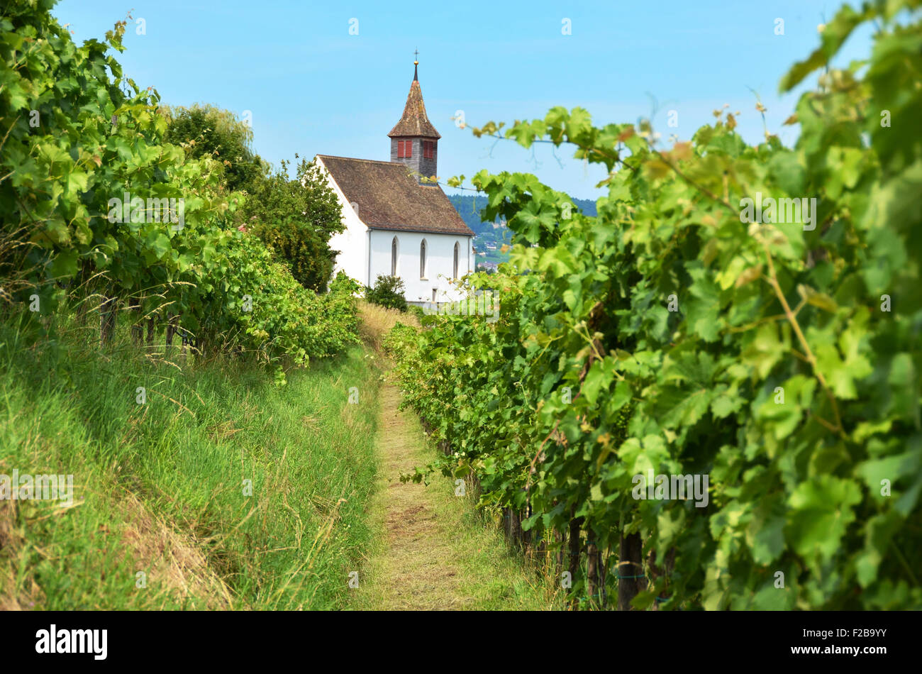 jobbörse rheinau