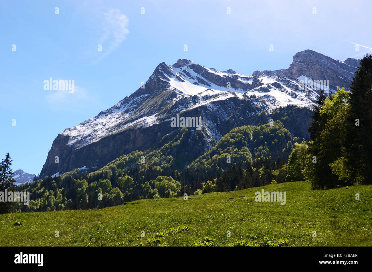 Spring in Switzerland Stock Photo - Alamy