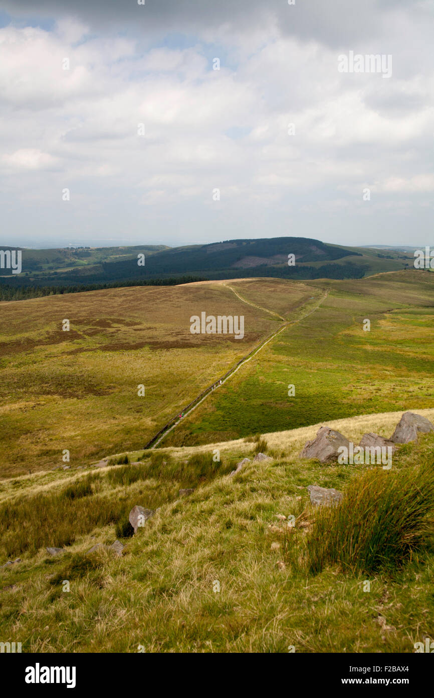 Field boundary drystone wall crossing Buxtors Hill below Shutlingsloe  near The Macclesfield Forest Cheshire England Stock Photo