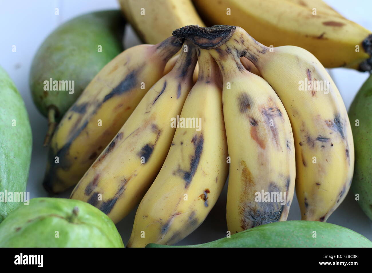 Sugar bananas or also known as Ducasse bananas with green mangoes and