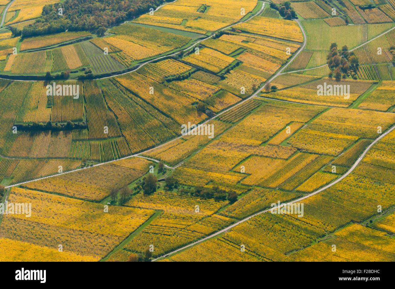 France, Bas Rhin (67), Wines road, Rosheim, vineyards in autumn (aerial ...