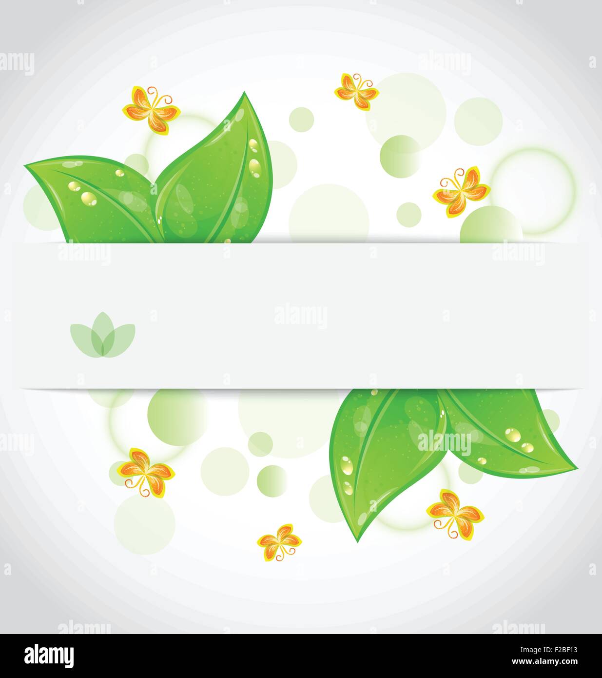 Eco green leaves with with butterfly isolated on white backgroun Stock Vector