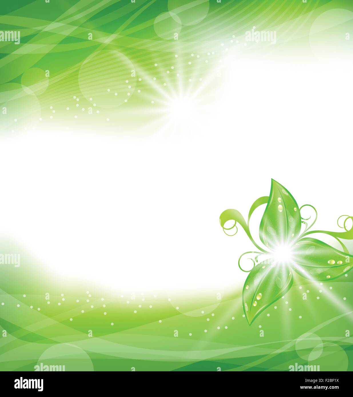 Eco friendly background with green leaves Stock Vector Image & Art - Alamy
