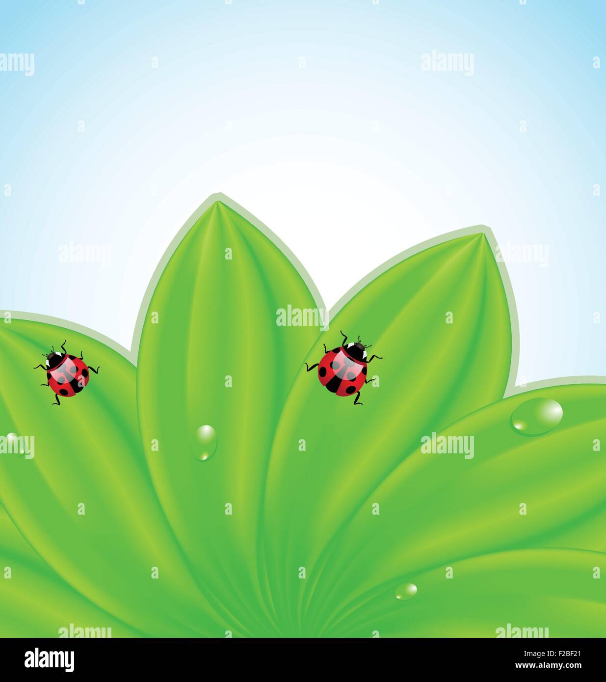 Green leaves ecology fresh background Stock Vector Image & Art - Alamy