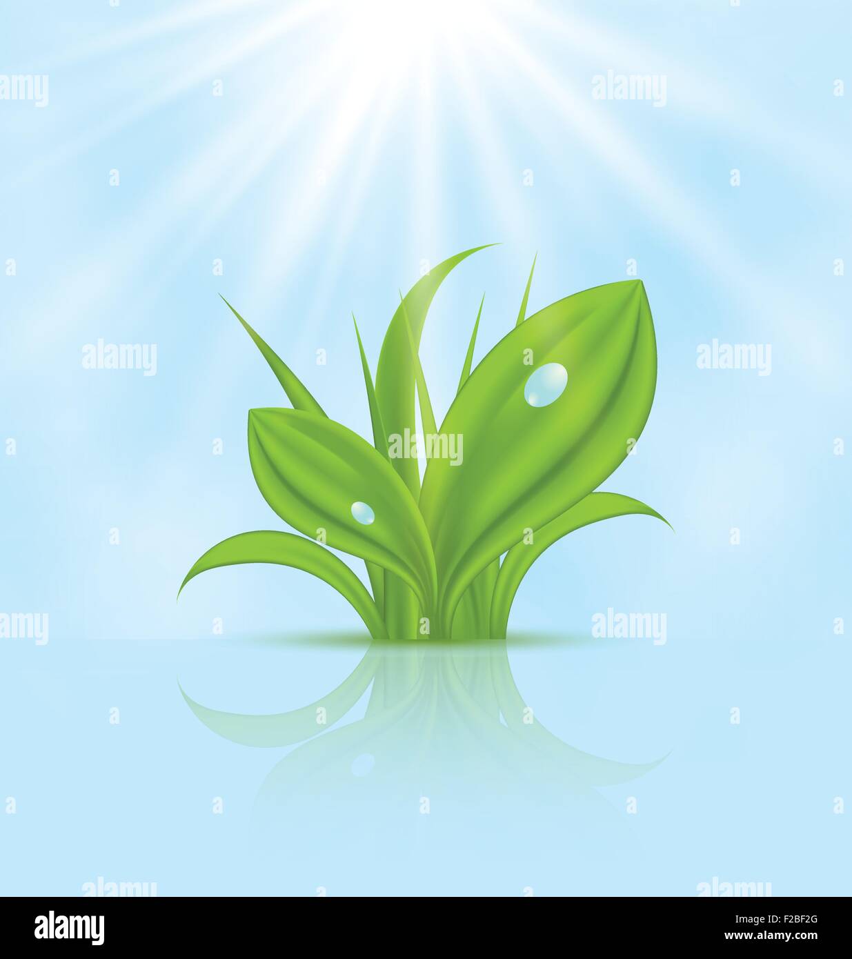 Spring wallpaper with green grass Stock Vector Image & Art - Alamy