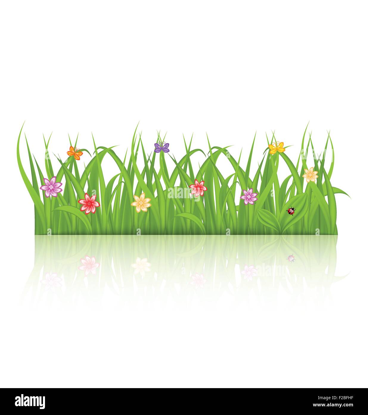 Green grass with flower isolated on white background Stock Vector Image ...