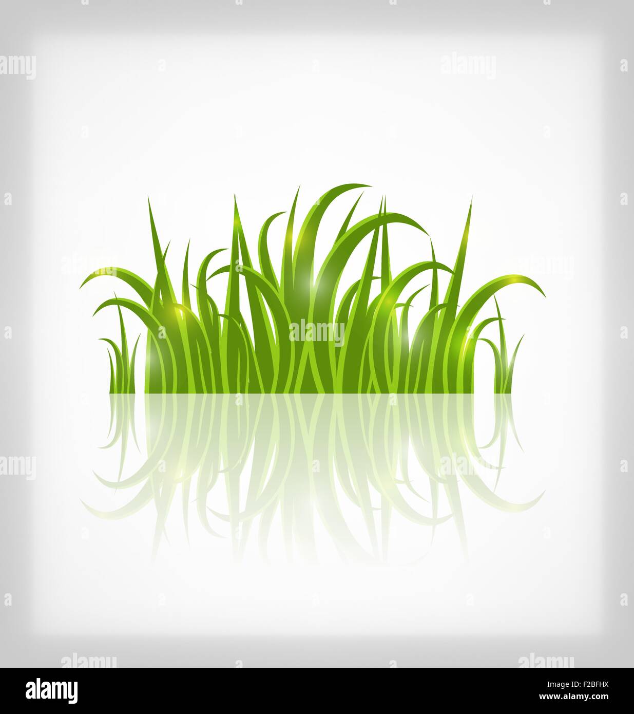 Green grass with reflection, isolated on white background Stock Vector ...