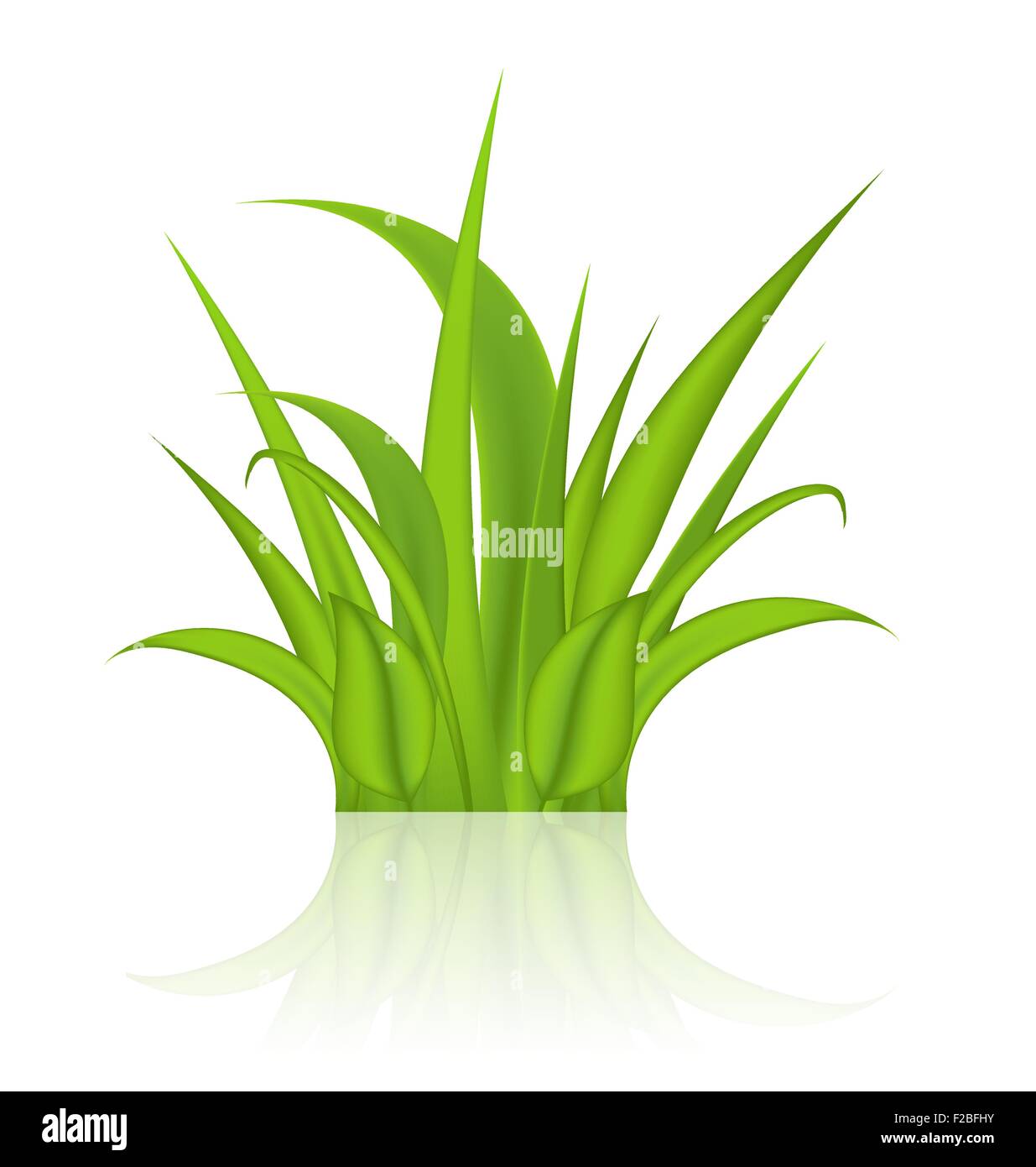Green grass isolated on white background Stock Vector Image & Art - Alamy