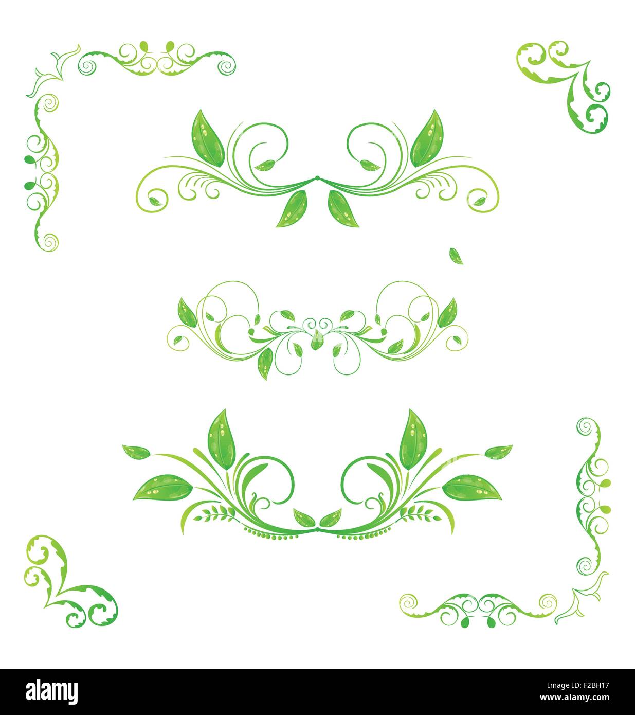 Set green floral elements with eco leaves isolated (2 Stock Vector ...