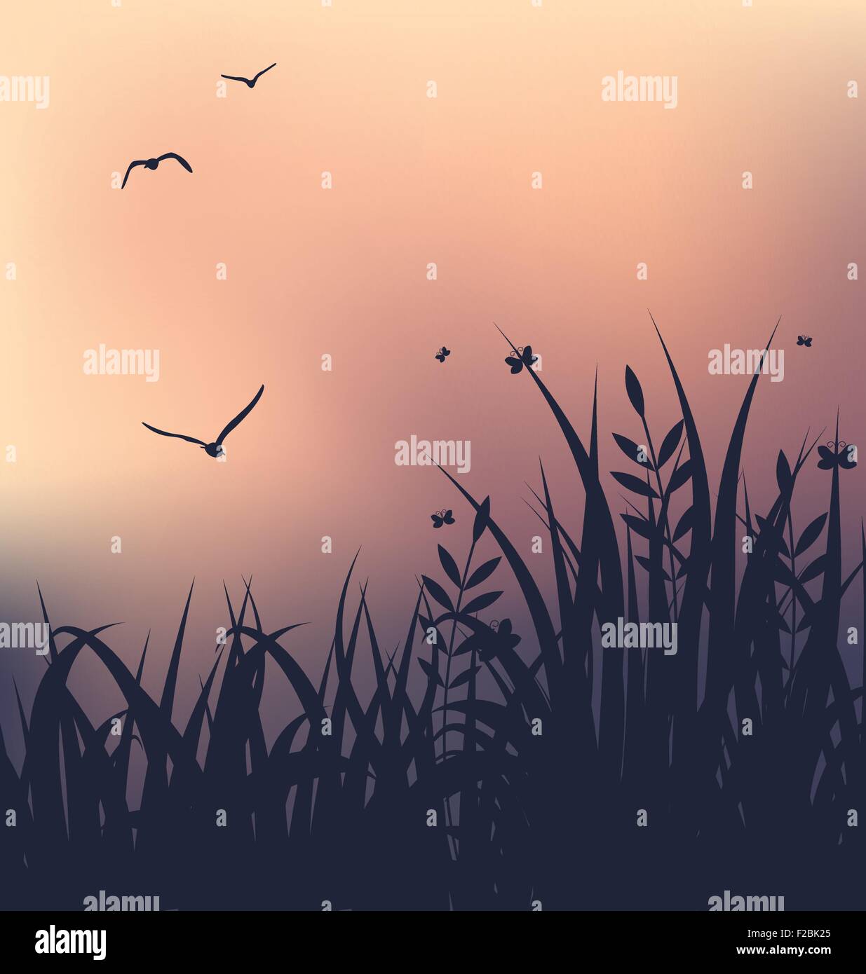 Grass silhouette sunset Stock Vector Images - Alamy