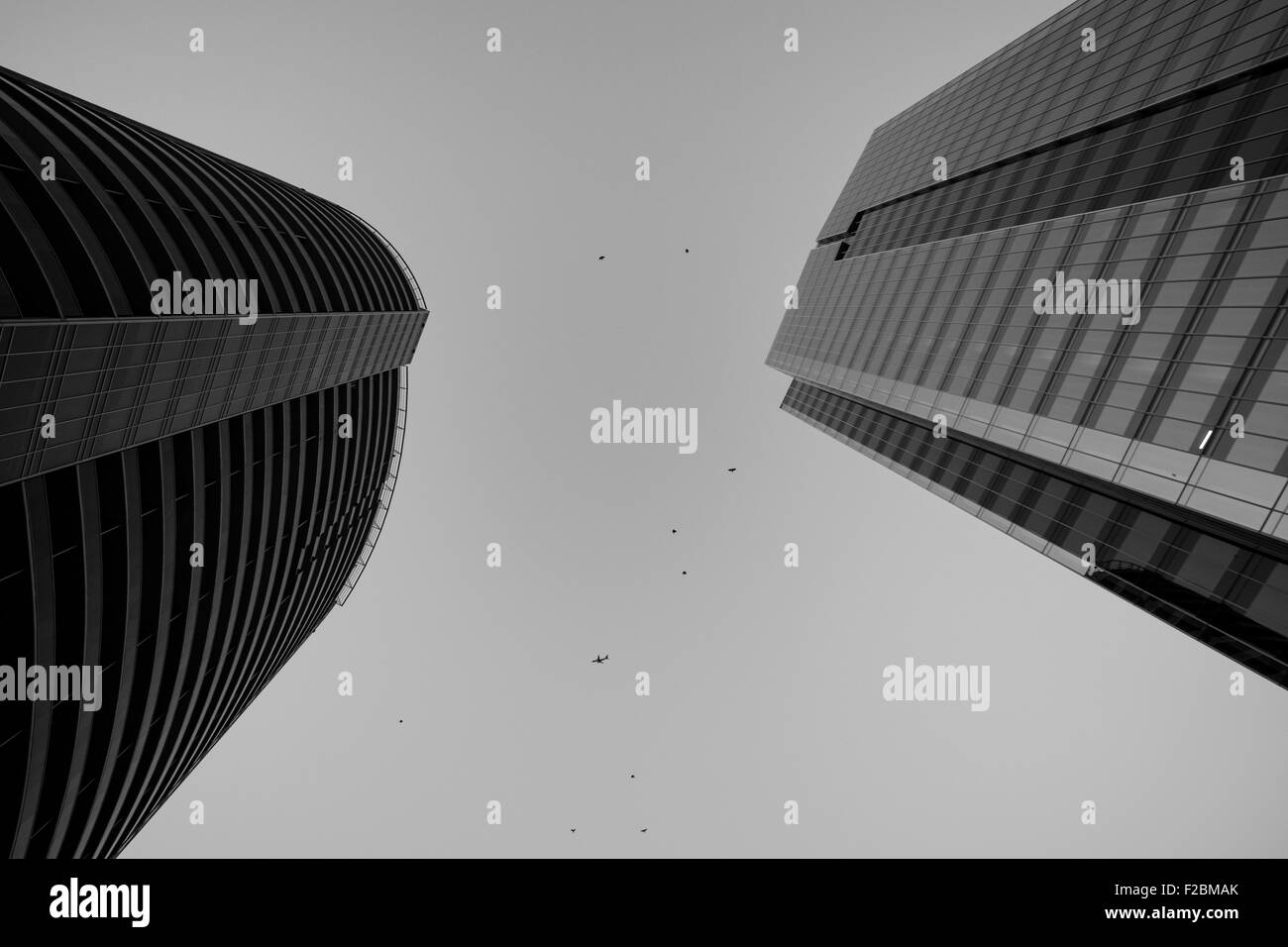 City Buildings with Birds flying above Stock Photo - Alamy