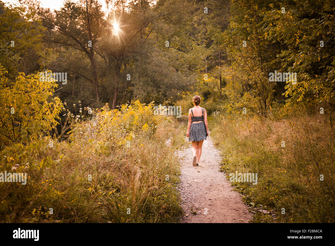 Young woman walking on path in late afternoon summer forest with setting sun Stock Photo