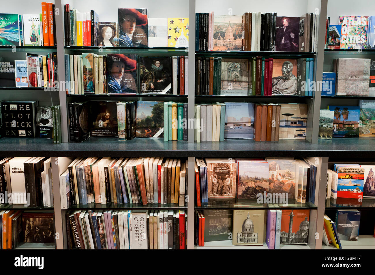 Art books at bookstore - USA Stock Photo