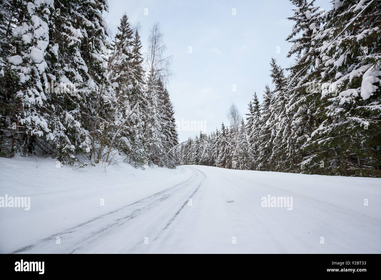 Road in forest at winter Stock Photo - Alamy