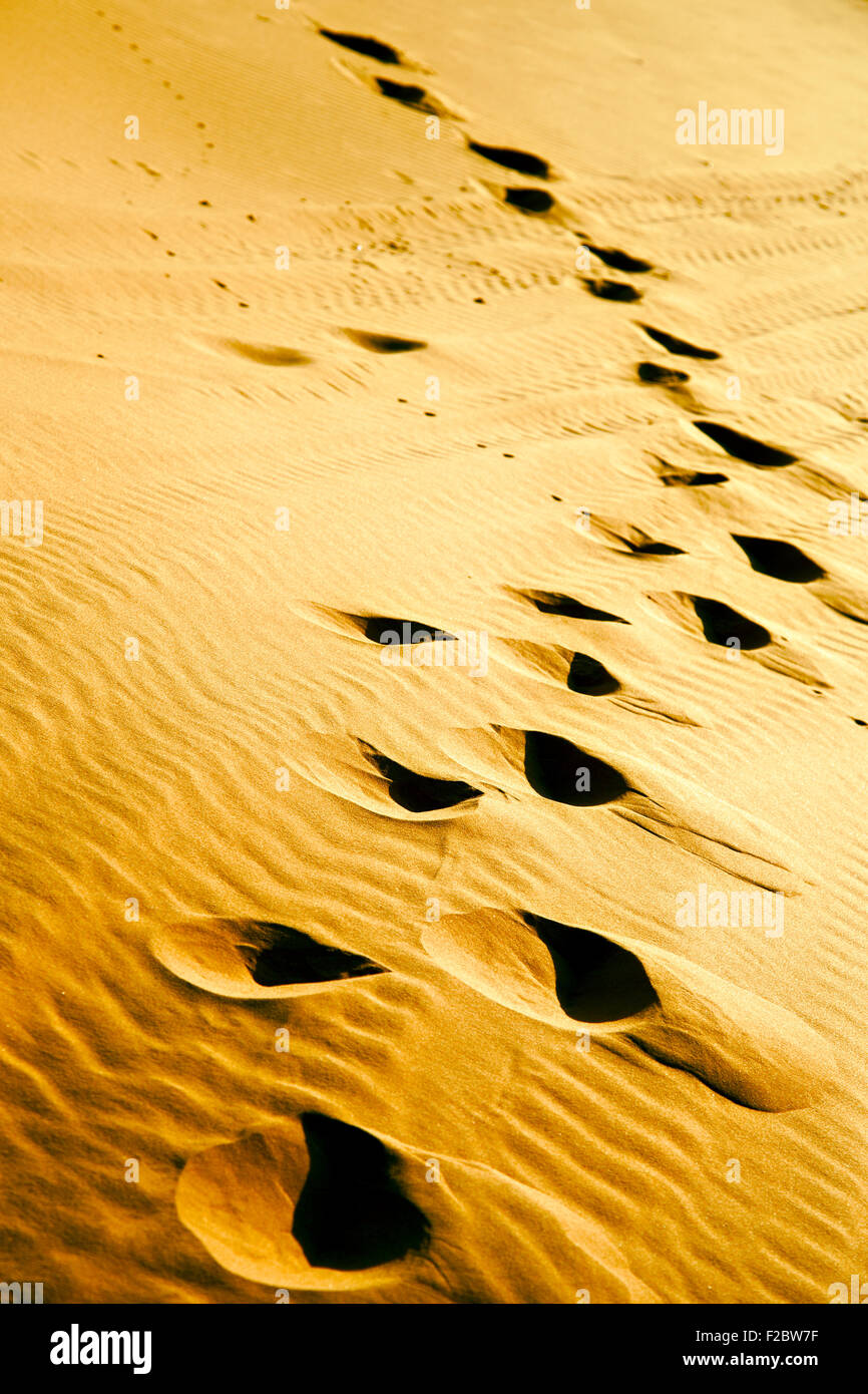 the brown sand dune in the sahara morocco desert Stock Photo - Alamy