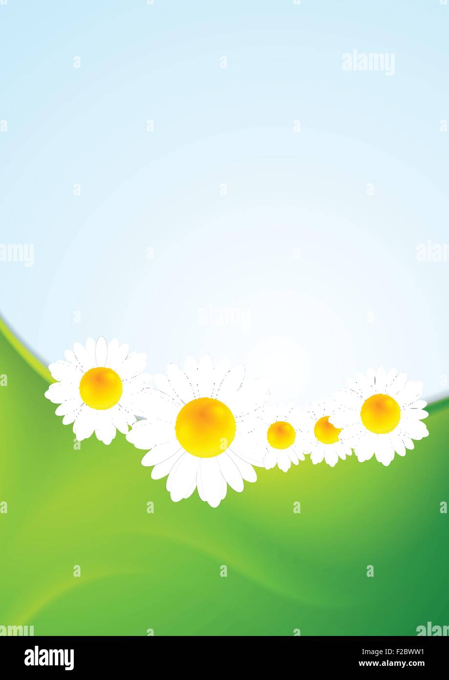 Summer background with green waves and camomiles. Vector design Stock ...