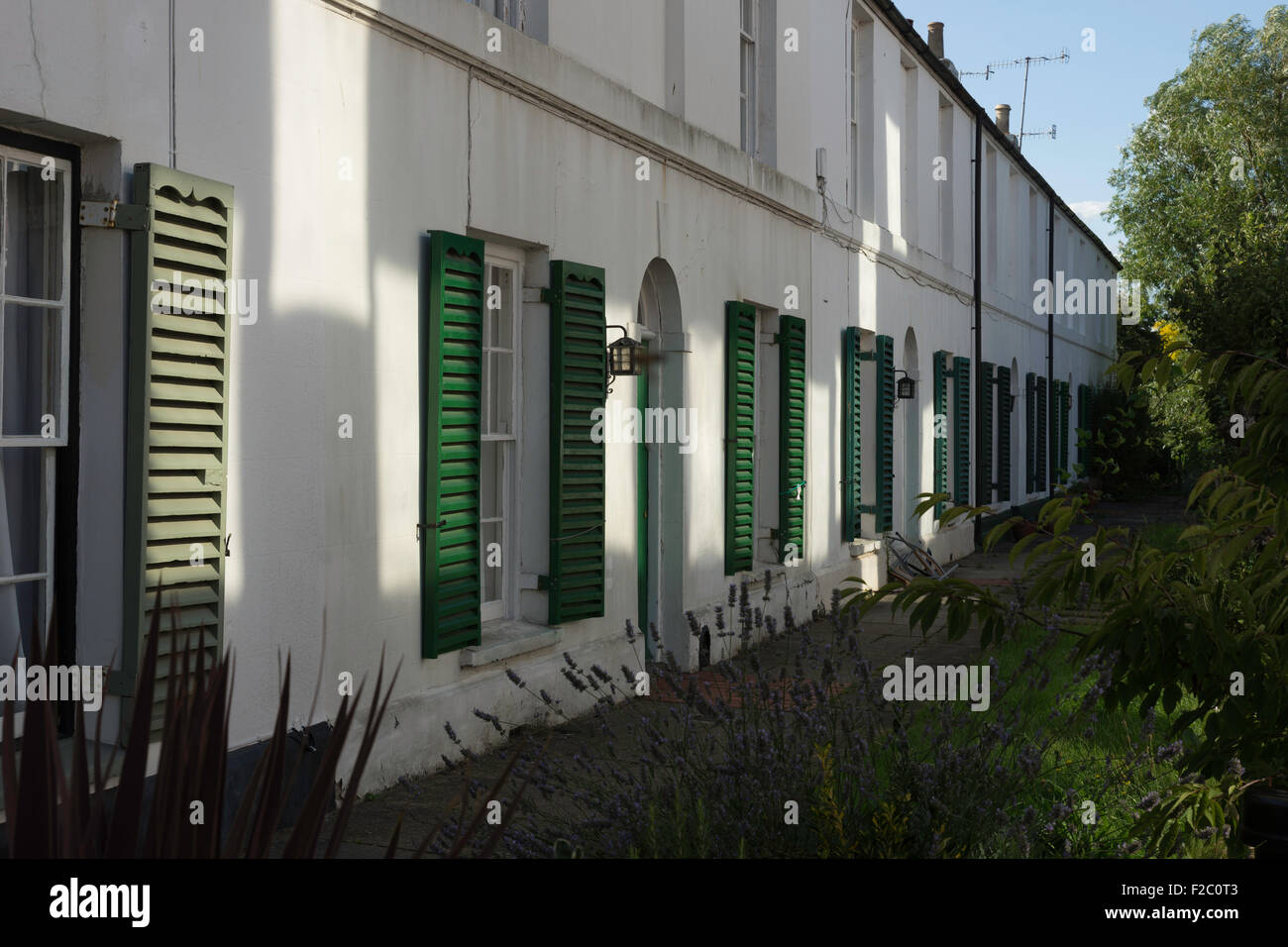 Green shutters in light and shade Stock Photo