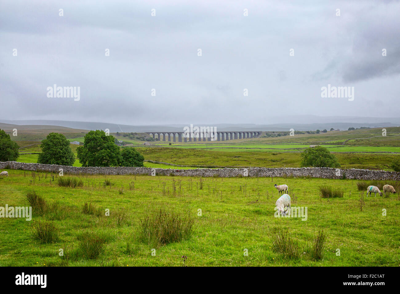 Ribblehead Railway Bridge in Yorkshire Stock Photo Alamy