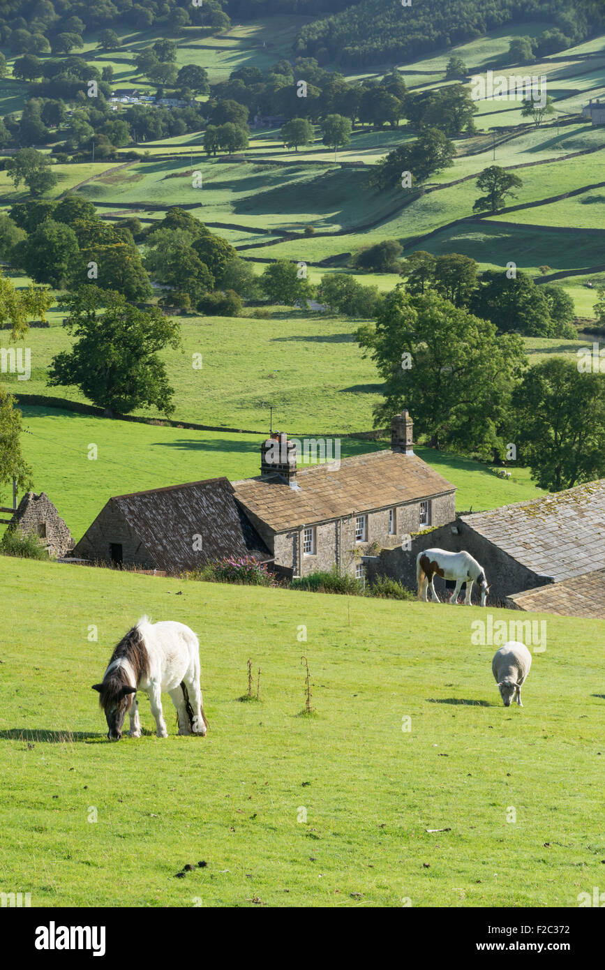 North yorkshire farm land hires stock photography and images Alamy