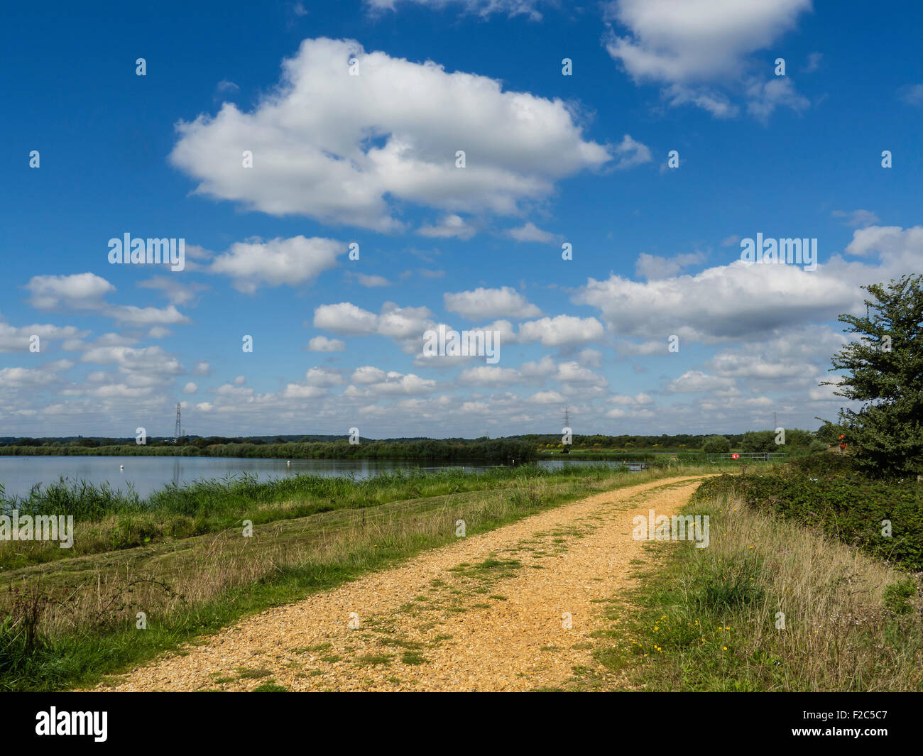 Longham Lakes Footpath, Ferndown, near Bournemouth, Dorset, England, UK
