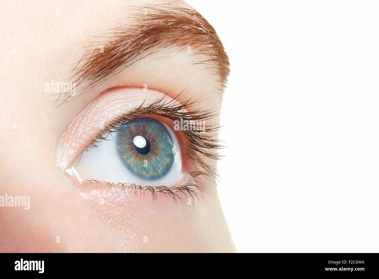 Human, blue healthy eye macro on white background Stock Photo
